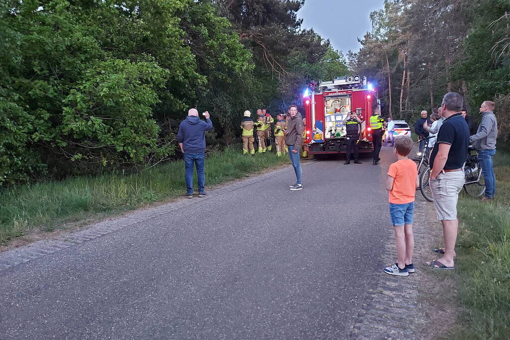 Bosbrand snel onder controle