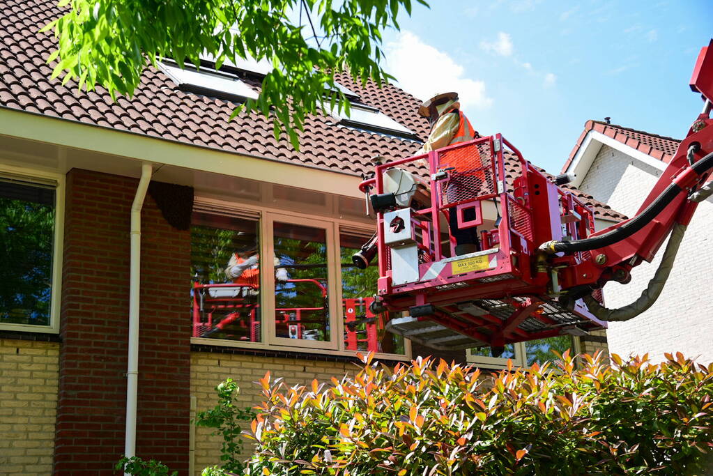 Brandweer ingezet voor verwijderen groot bijennest