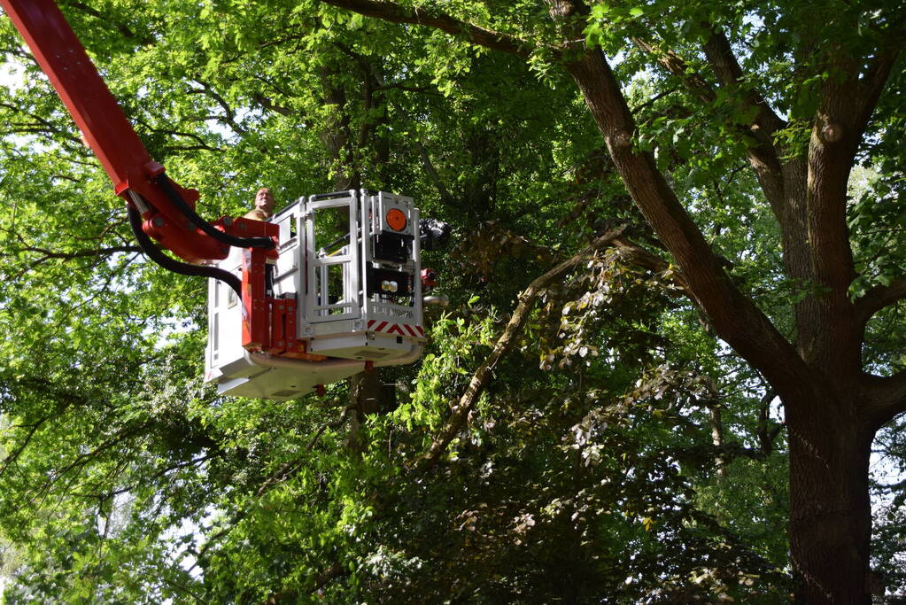Tak valt op geparkeerde auto