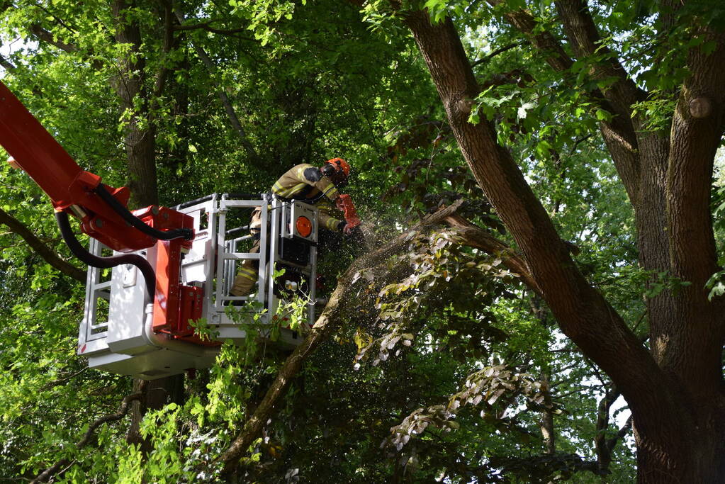 Tak valt op geparkeerde auto