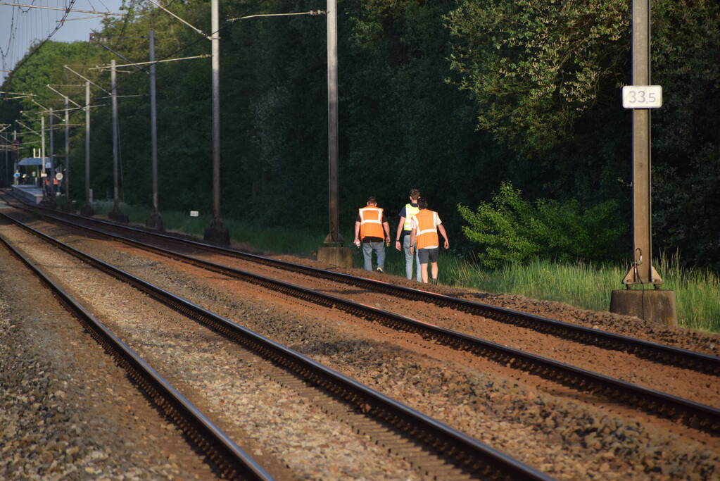 Reddingsactie vermiste hond zorgt voor vertraging treinen