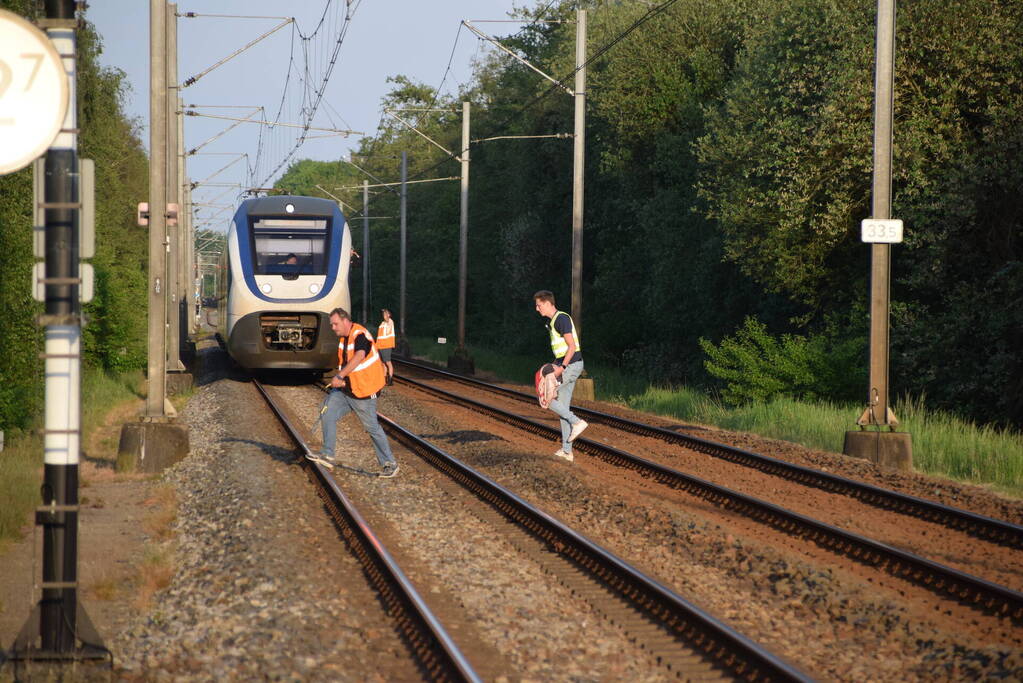 Reddingsactie vermiste hond zorgt voor vertraging treinen