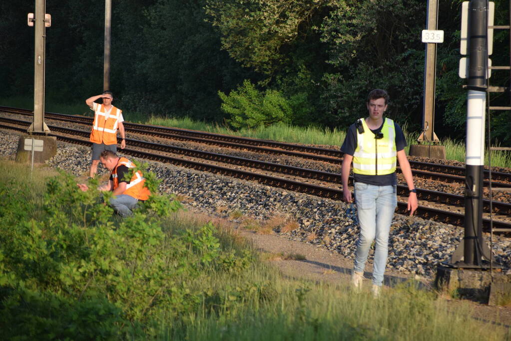 Reddingsactie vermiste hond zorgt voor vertraging treinen