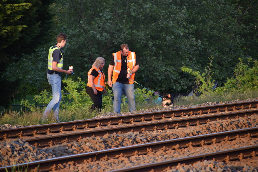 Reddingsactie vermiste hond zorgt voor vertraging treinen