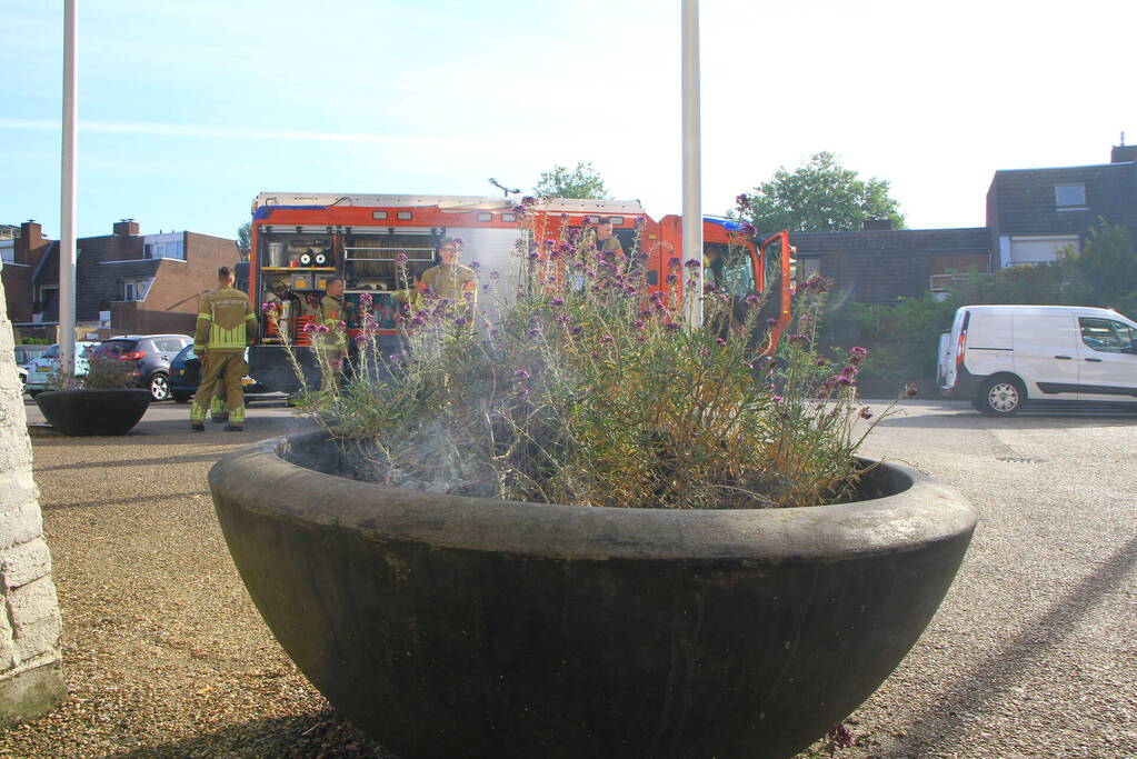 Bloembak met lavendel vliegt in brand