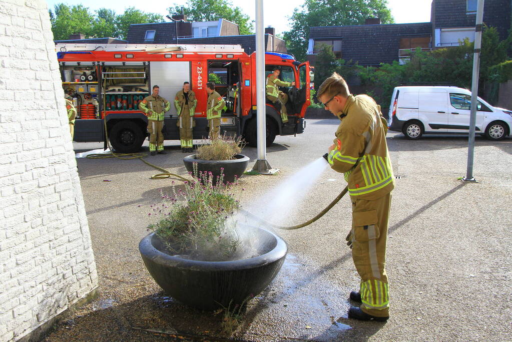 Bloembak met lavendel vliegt in brand