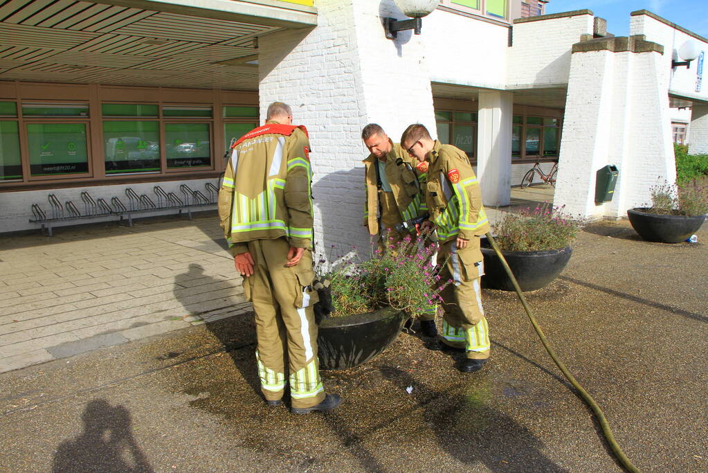 Bloembak met lavendel vliegt in brand