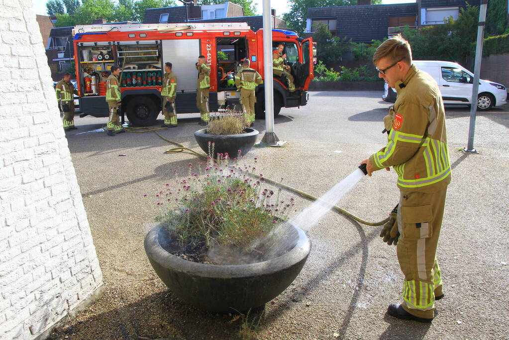 Bloembak met lavendel vliegt in brand