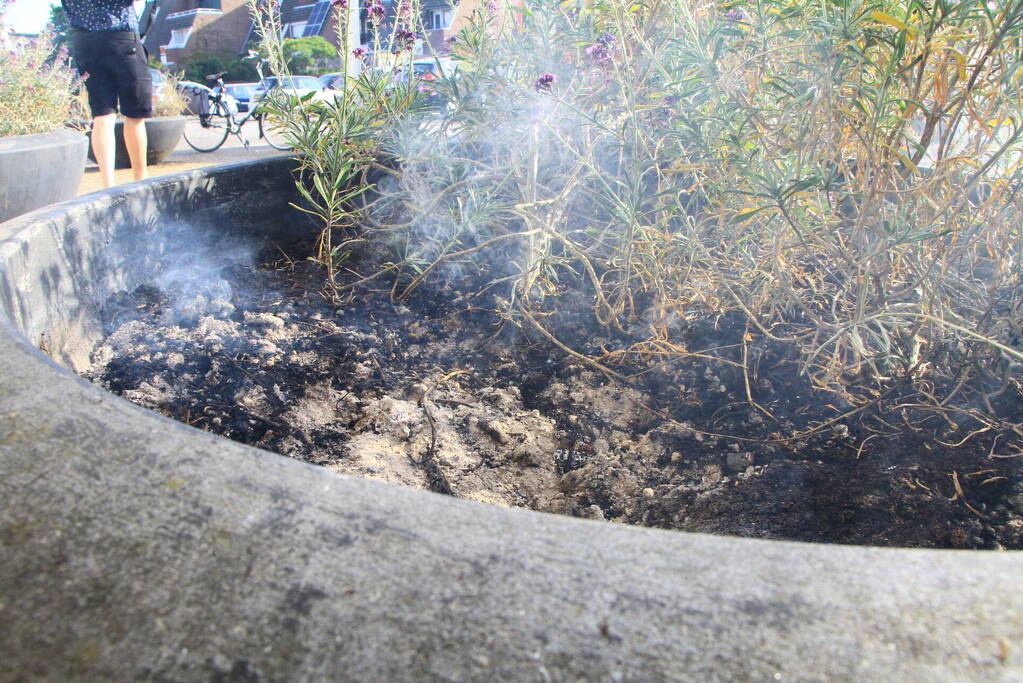 Bloembak met lavendel vliegt in brand