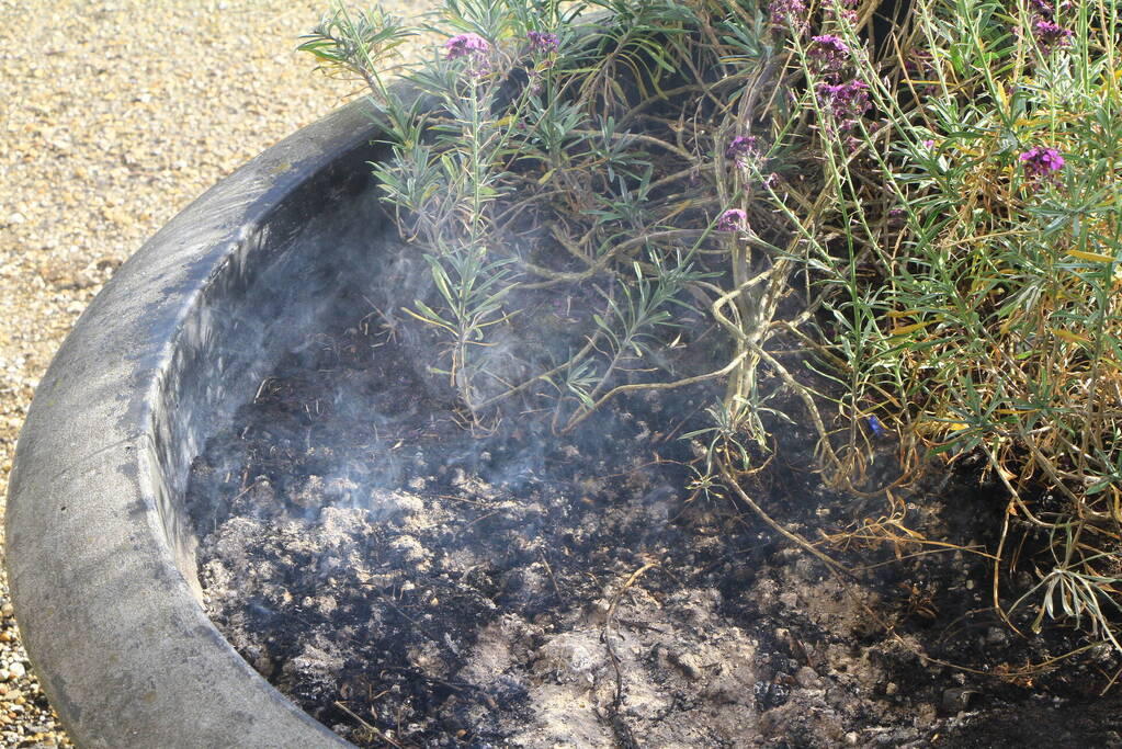 Bloembak met lavendel vliegt in brand