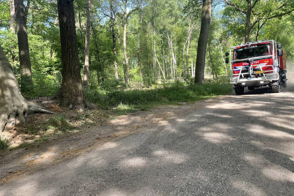 Brand in natuurgebied snel onder controle