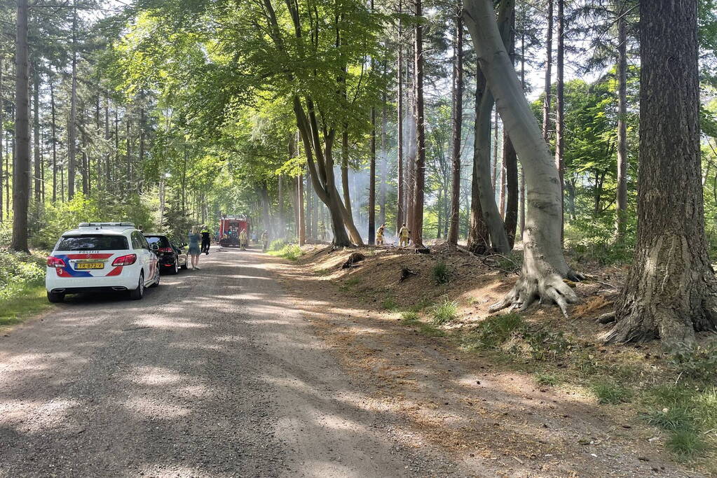 Brand in natuurgebied snel onder controle