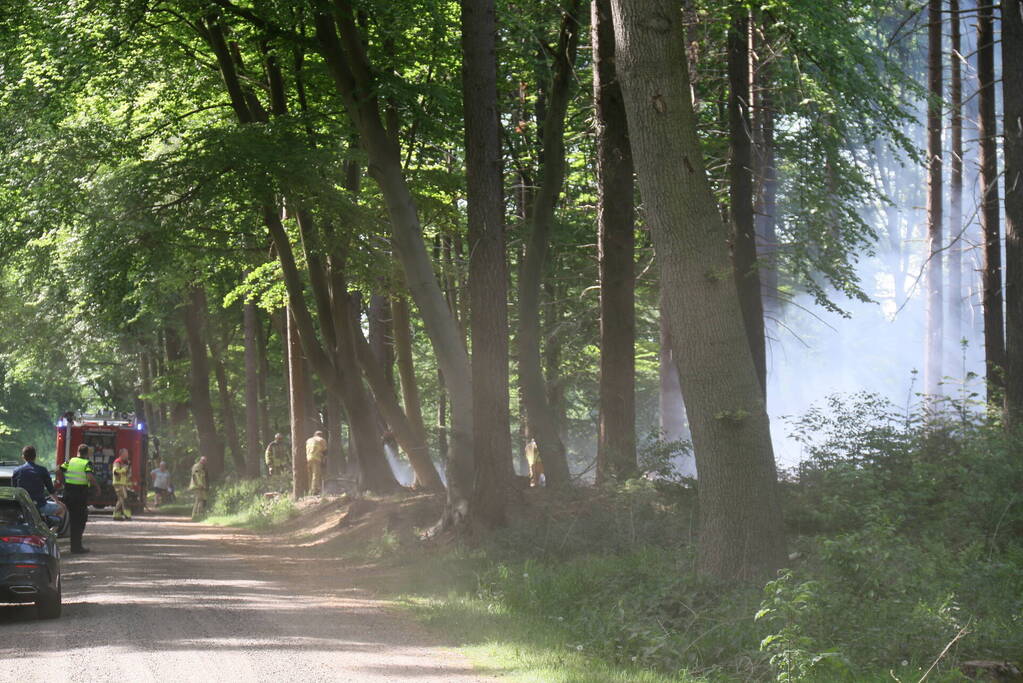 Brand in natuurgebied snel onder controle