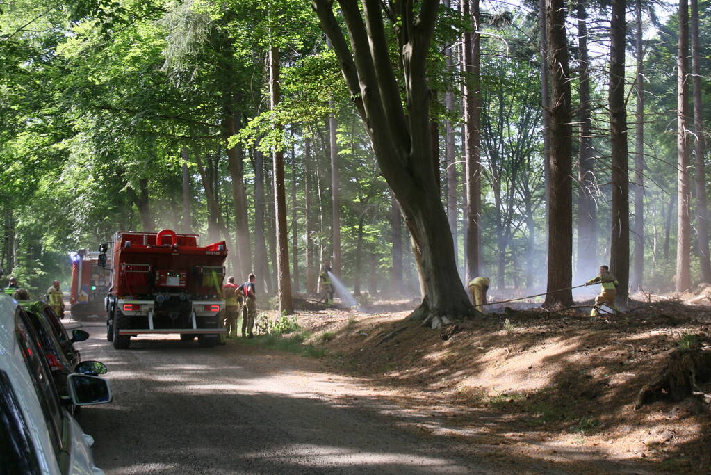 Brand in natuurgebied snel onder controle