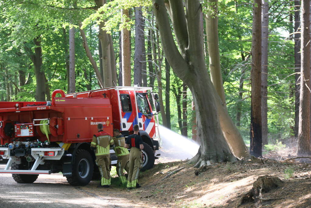 Brand in natuurgebied snel onder controle