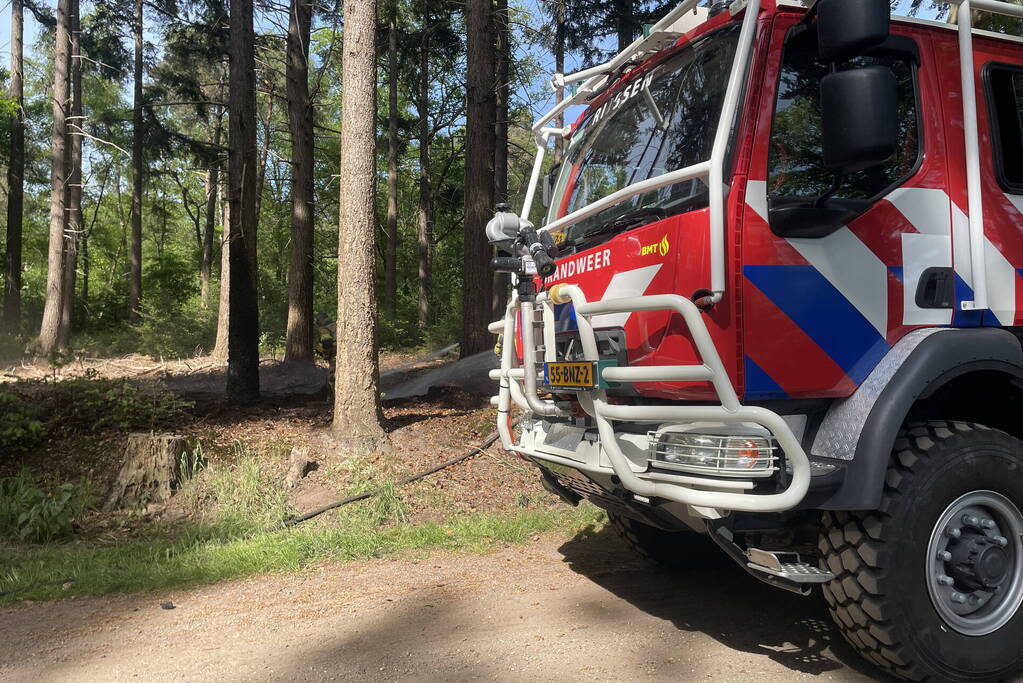 Brand in natuurgebied snel onder controle
