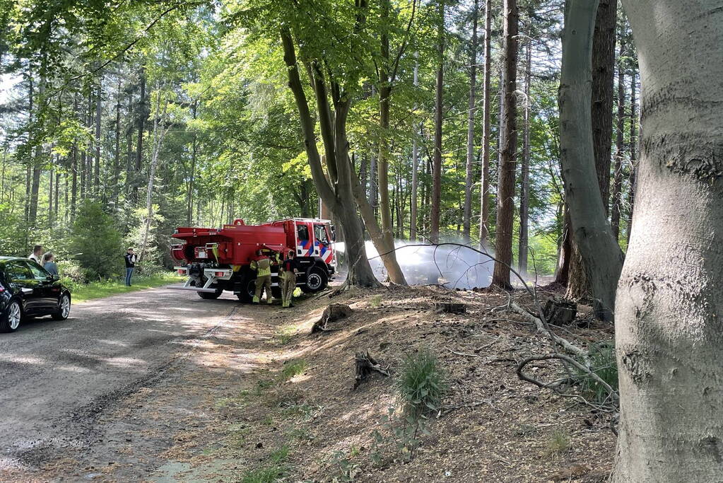 Brand in natuurgebied snel onder controle
