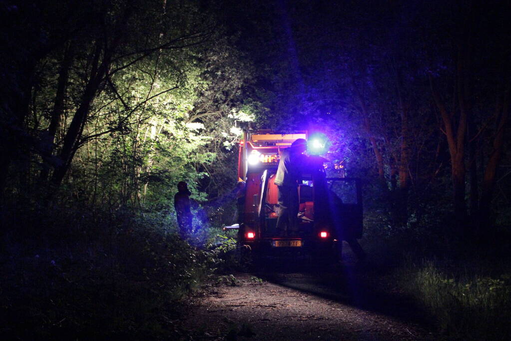 Bosbrand ontstaan door kampvuur