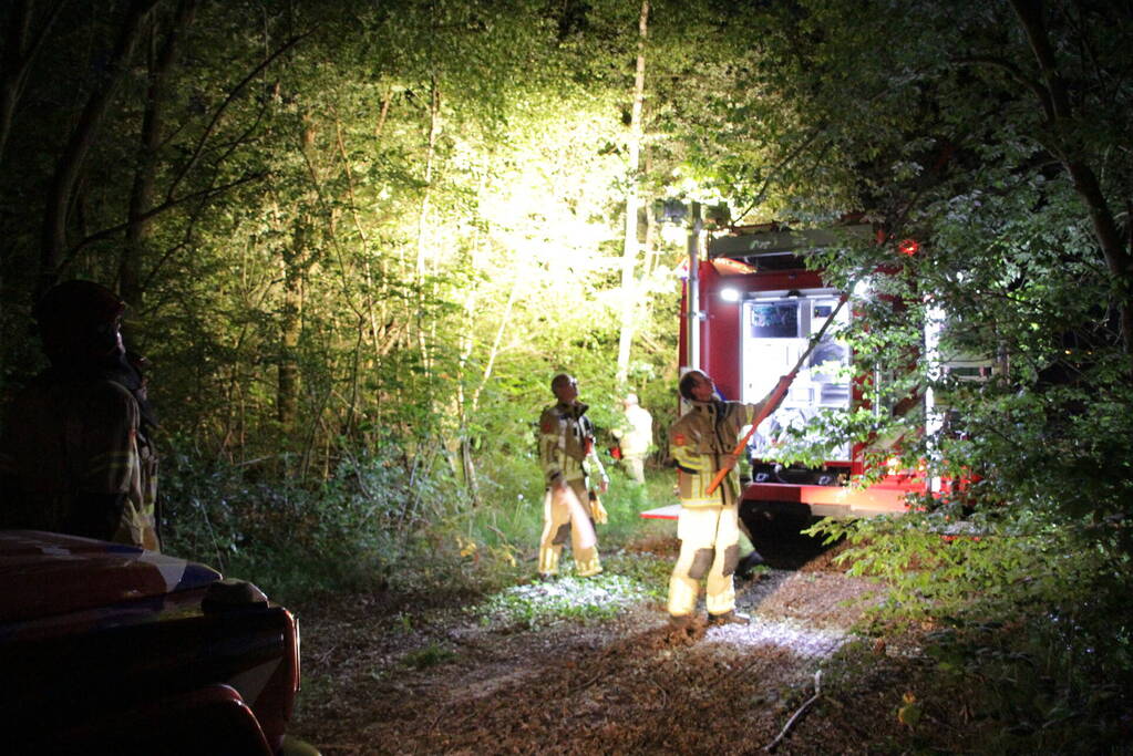Bosbrand ontstaan door kampvuur