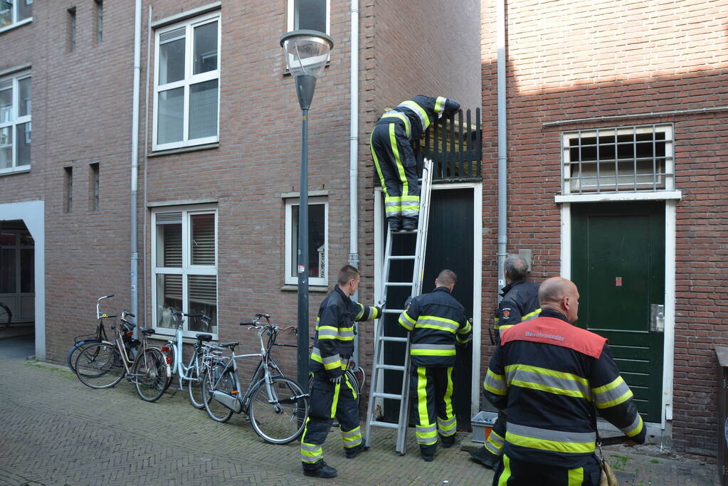 Brandweer bevrijdt kat