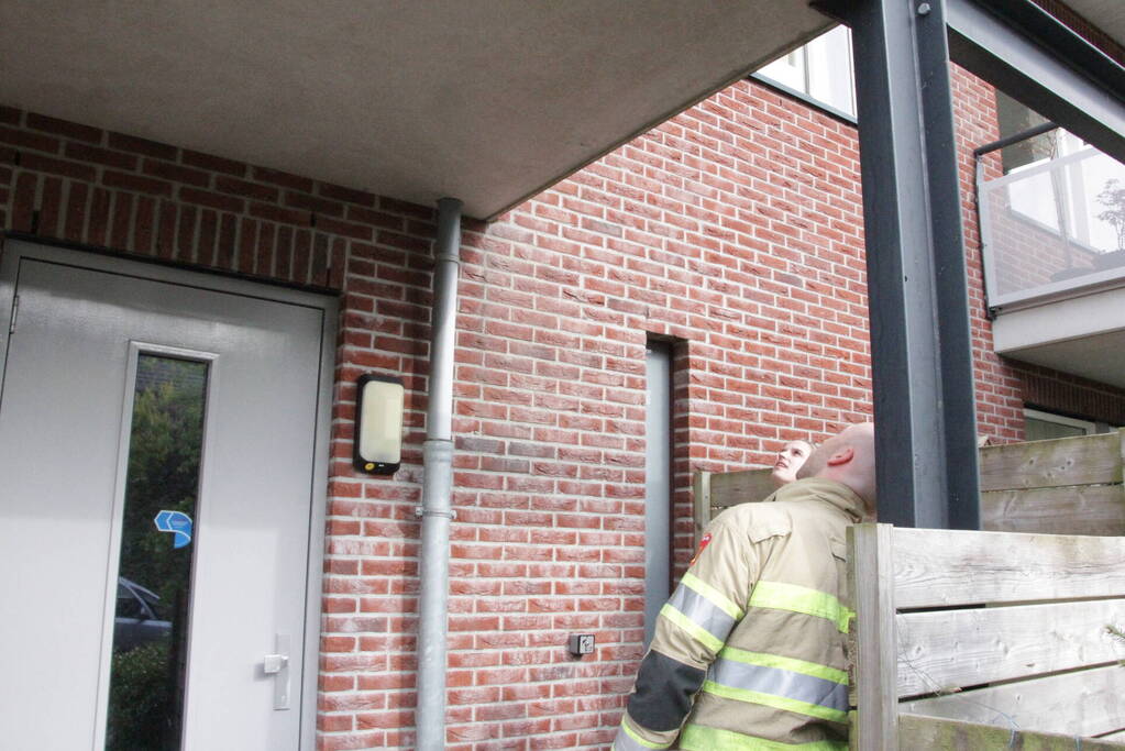 Mus vast in balkonrailing