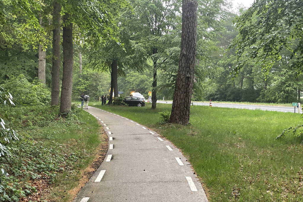 Veel schade bij botsing tegen boom