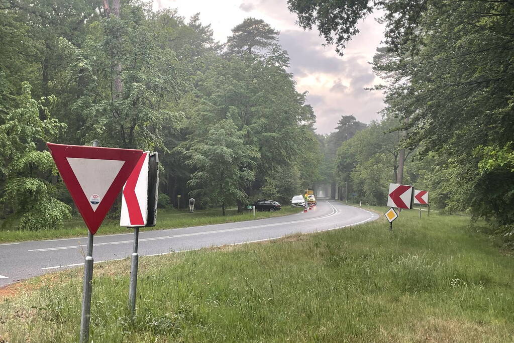 Veel schade bij botsing tegen boom