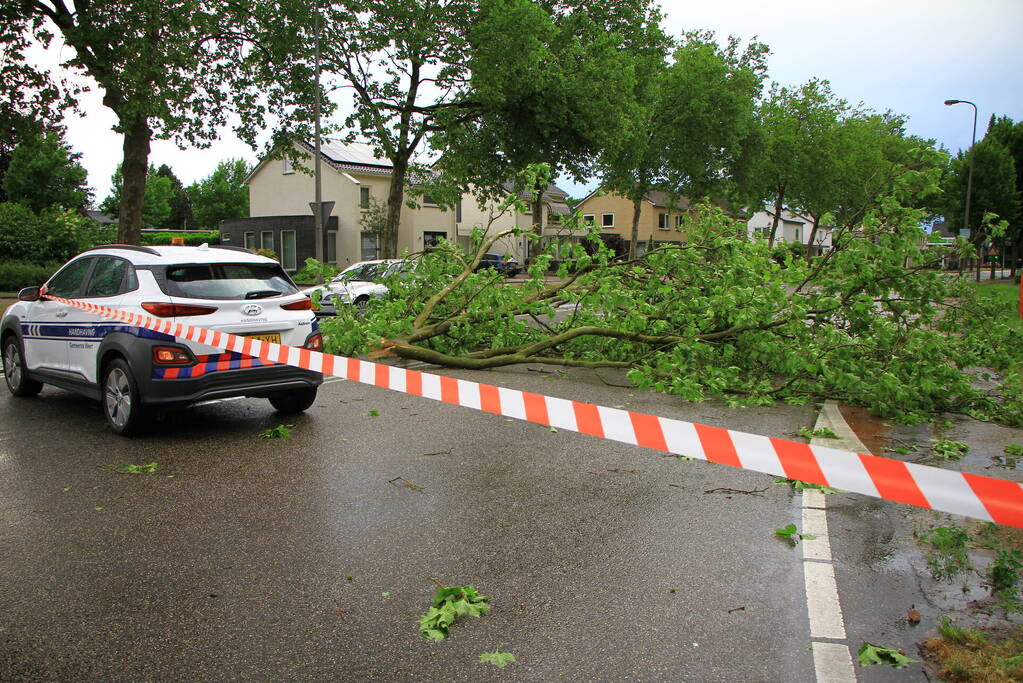Straat afgezet na val enorme tak