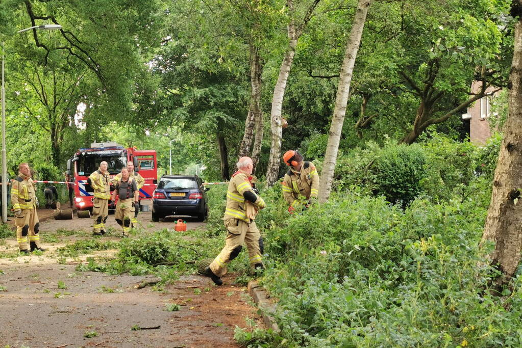 Grote boom waait over de weg