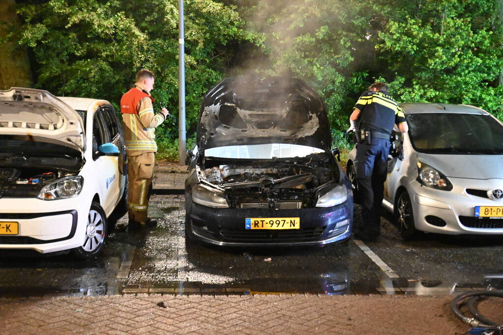 Geparkeerd staande auto verwoest vanwege brand