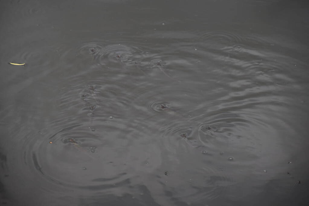 Vijver ziekenhuis Gelderse Vallei wordt voorzien van lucht