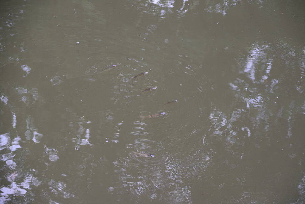 Vijver ziekenhuis Gelderse Vallei wordt voorzien van lucht