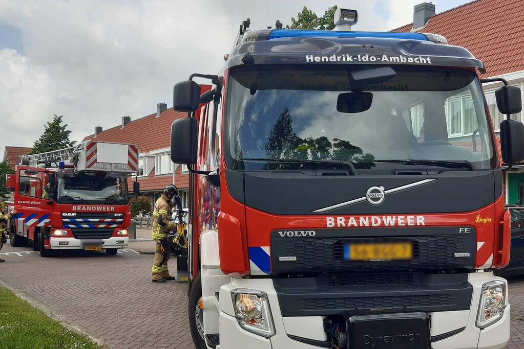 Verzwakte zwaan door brandweer bevrijdt van dakkapel