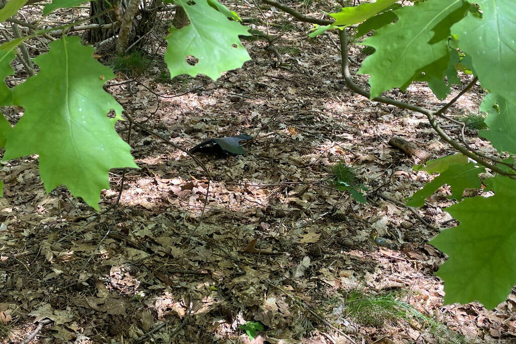 Onderzoek naar uitgebrande scooter in bosgebied