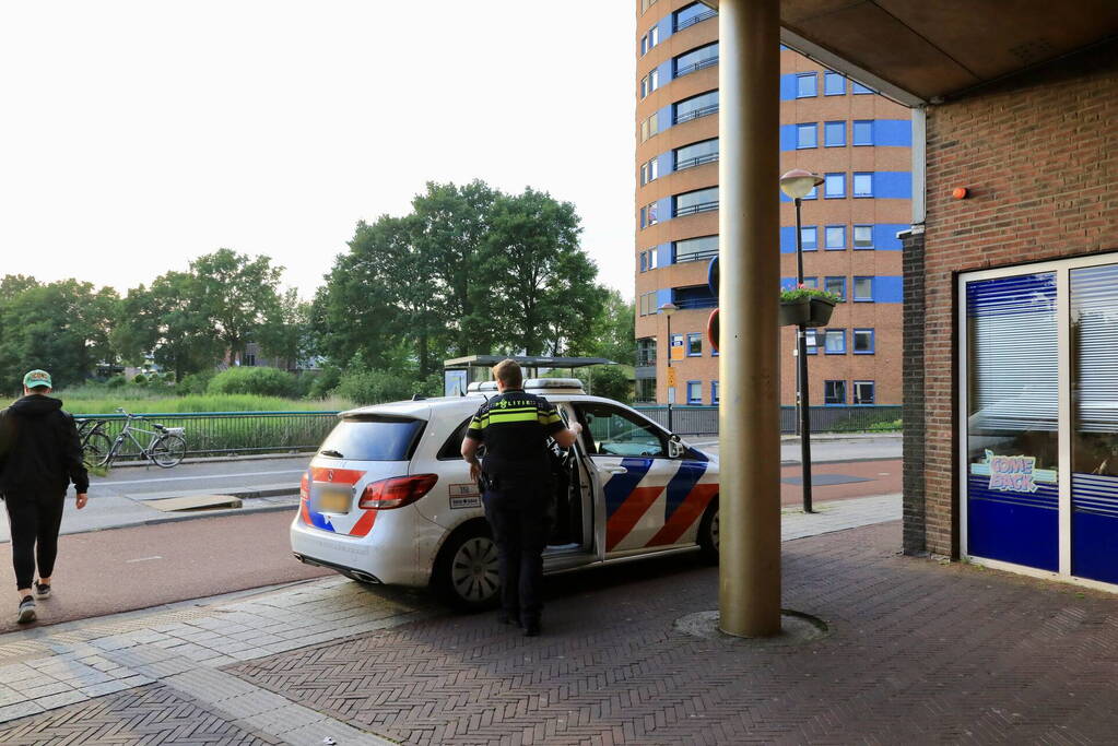 Buitenlandse overlastgever Winkelcentrum De Nieuwe Hof door politie meegenomen