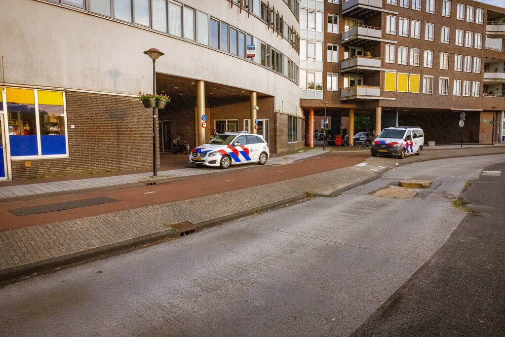 Buitenlandse overlastgever Winkelcentrum De Nieuwe Hof door politie meegenomen