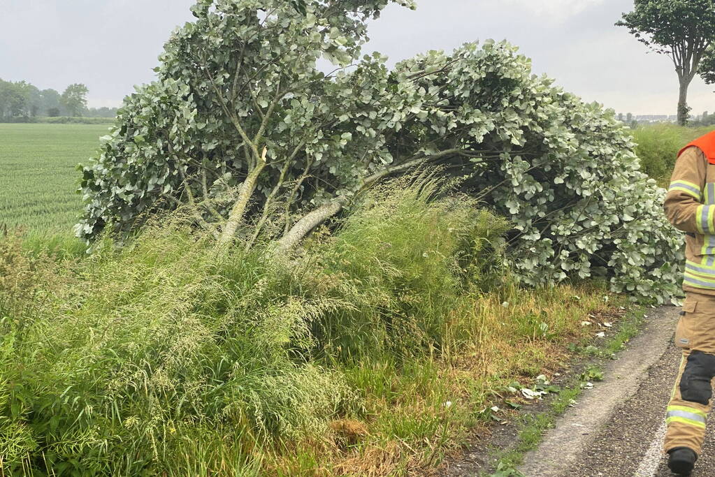 Automobilist raakt van de weg en belandt in sloot