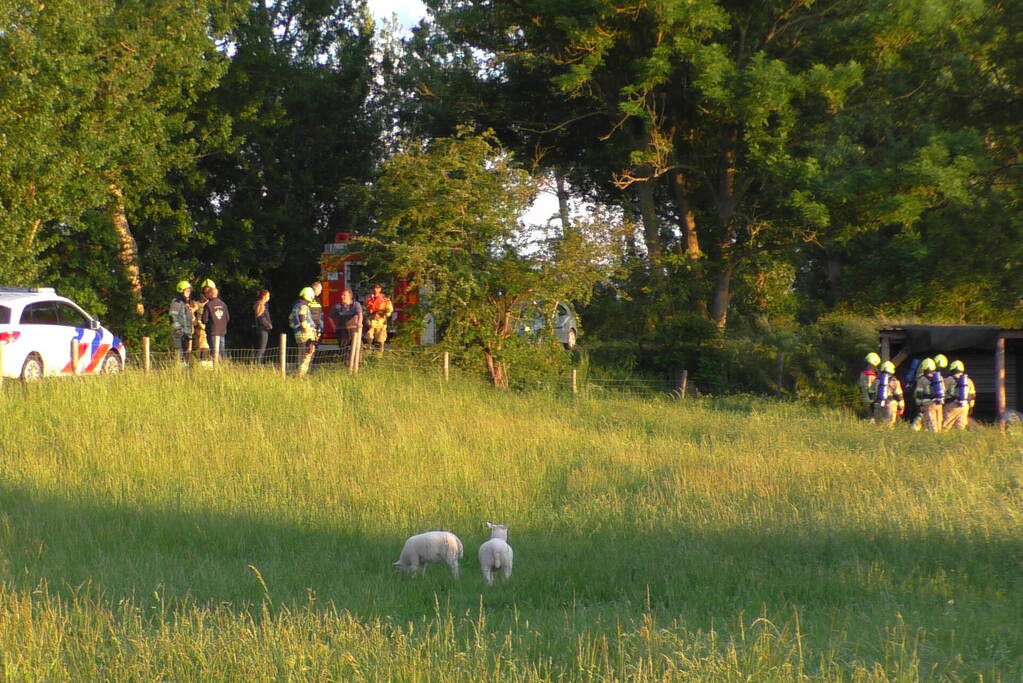 Brand in schuur voor schapen snel onder controle