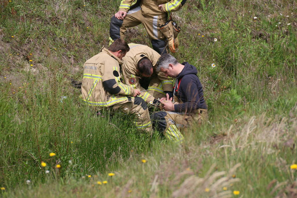 Visdraad brengt eend in problemen