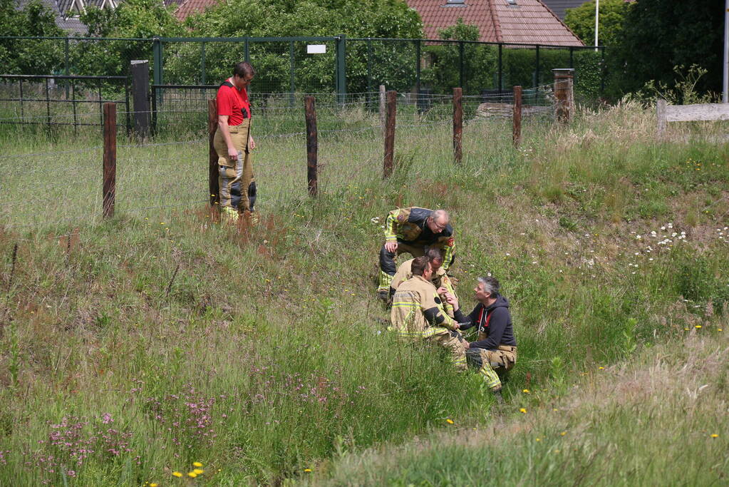 Visdraad brengt eend in problemen