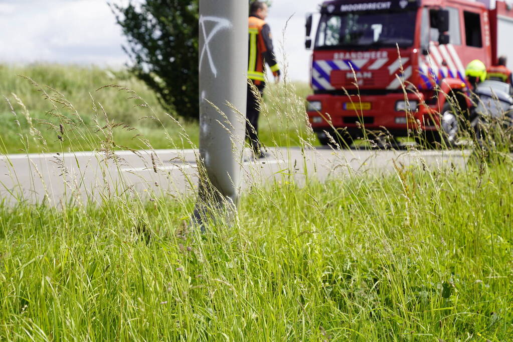 Auto belandt in dichtbegroeide sloot