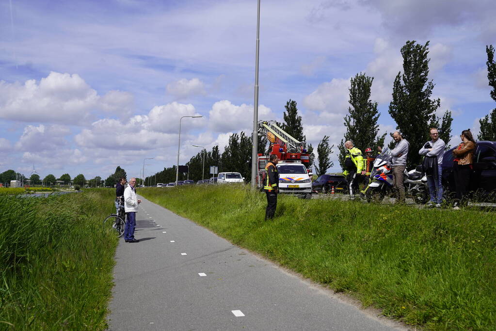 Auto belandt in dichtbegroeide sloot