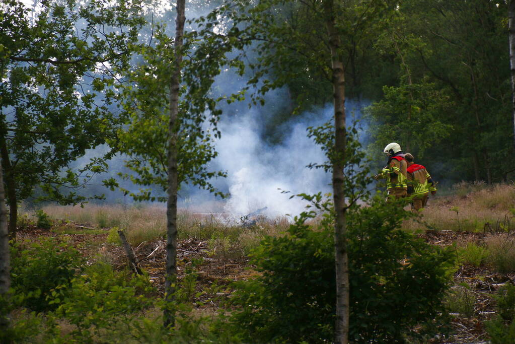 Brand in bosgebied