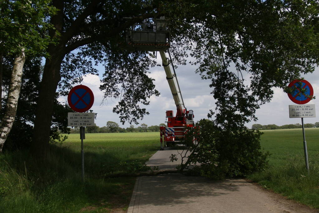 Brandweer ingezet voor afgebroken tak