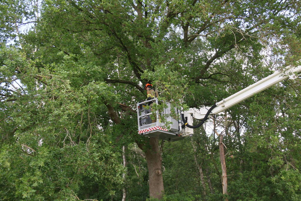 Brandweer ingezet voor afgebroken tak