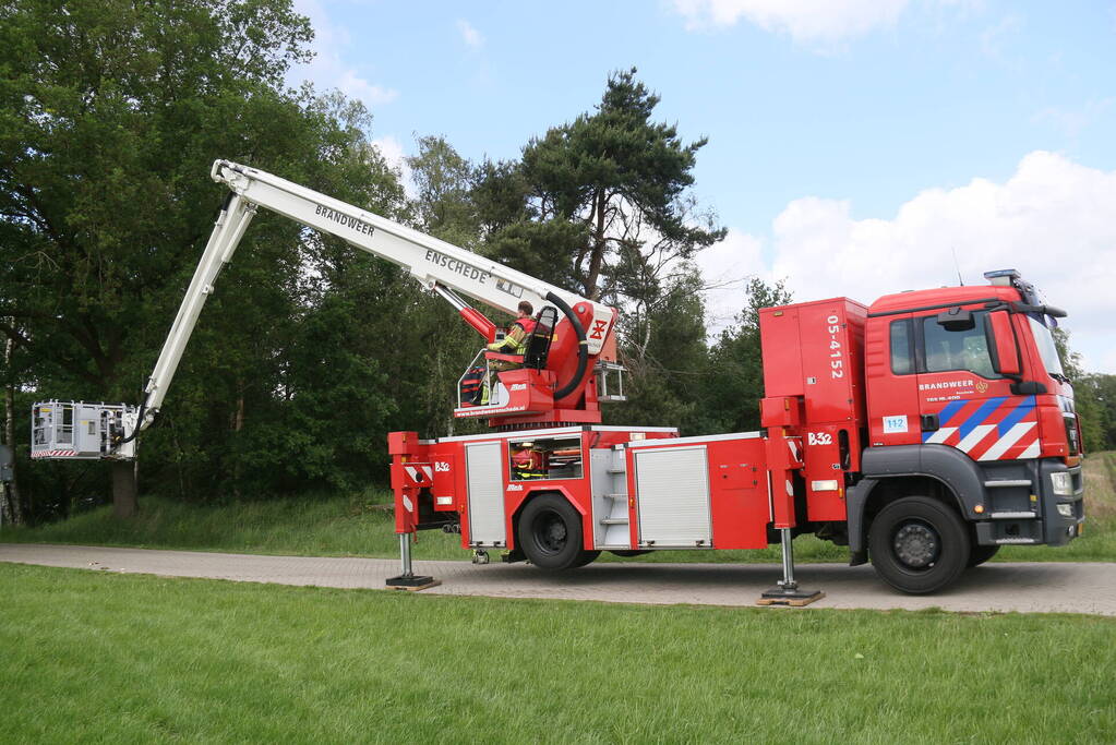 Brandweer ingezet voor afgebroken tak