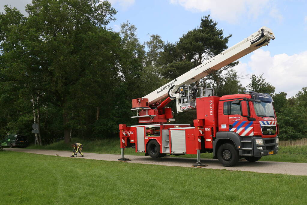 Brandweer ingezet voor afgebroken tak