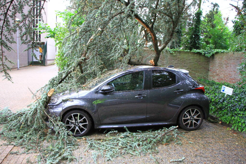 Enorme tak valt op geparkeerde auto