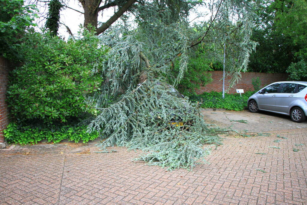 Enorme tak valt op geparkeerde auto