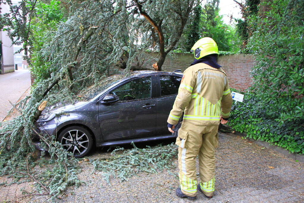Enorme tak valt op geparkeerde auto